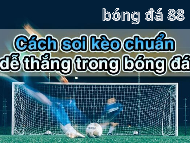 Xem tỷ lệ cược trên bảng hiển thị khi soi kèo bóng đá 88 Xem tỷ lệ cược trên bảng hiển thị khi soi kèo bóng đá 88