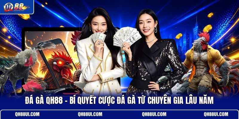 da-ga-qh88-bi-quyet-cuoc-da-ga-tu-chuyen-gia-lau-nam